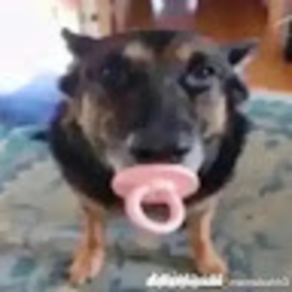 nikolaieatsfart